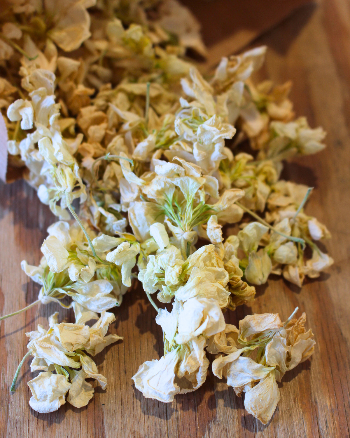 Confettis en fleurs séchées