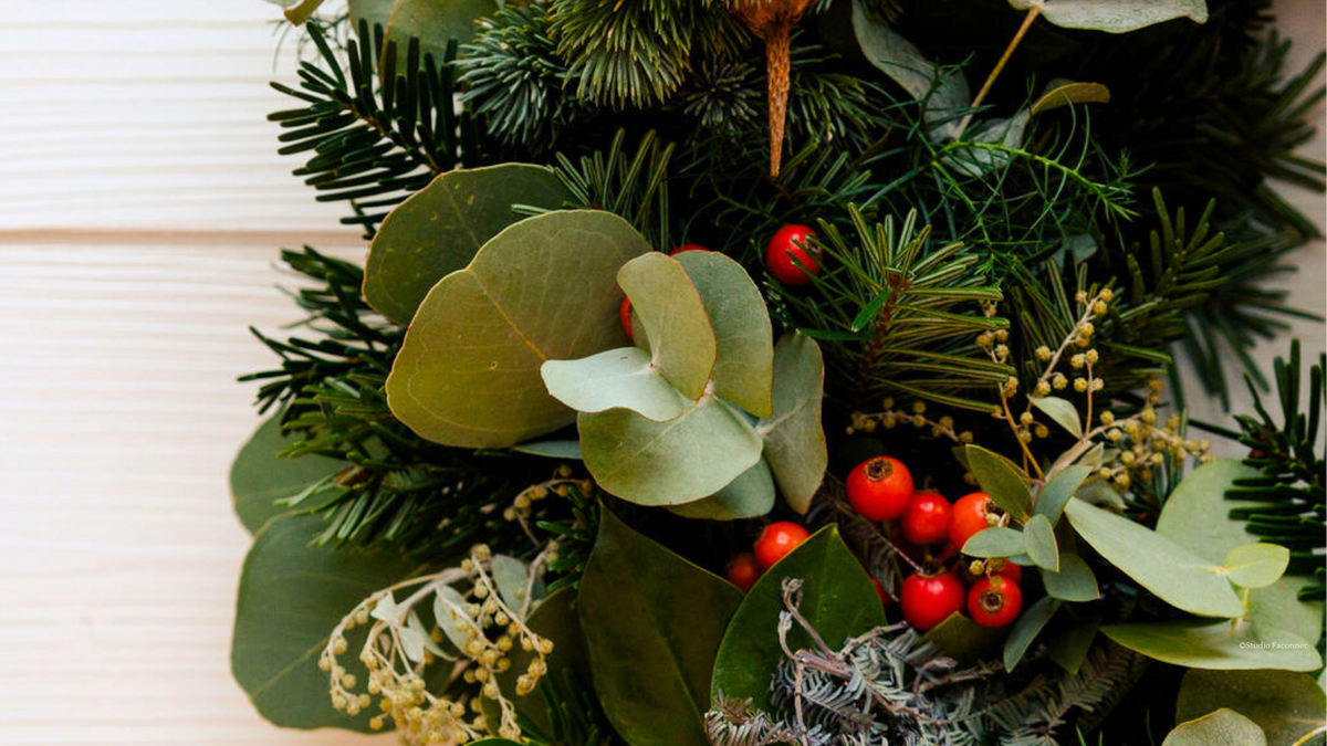 Décoration de Noël pour les professionnels : comment les bottes d’Anémone subliment vos espaces avec poésie et engagement