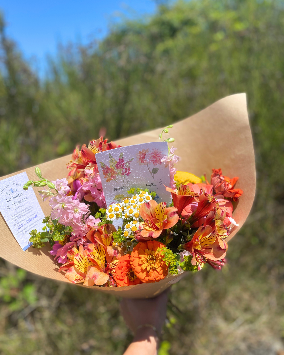 Bouquet surprise de la semaine