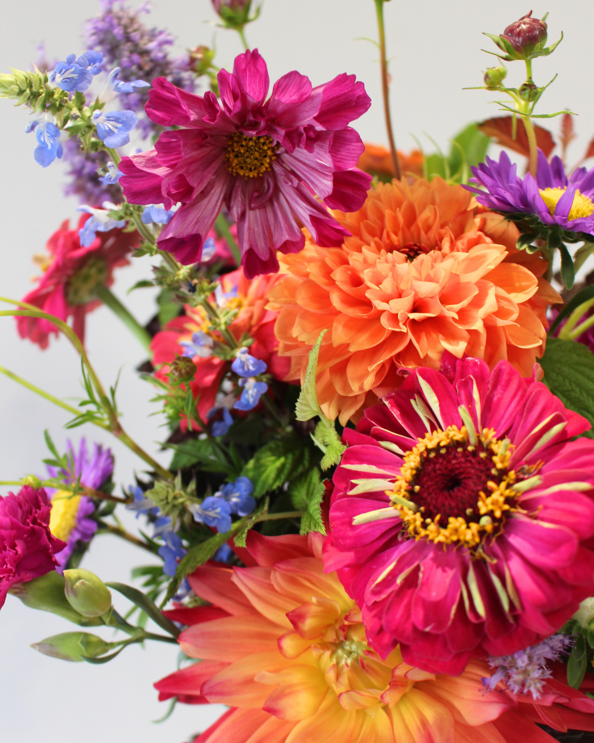 Le Bouquet du mois - VIF