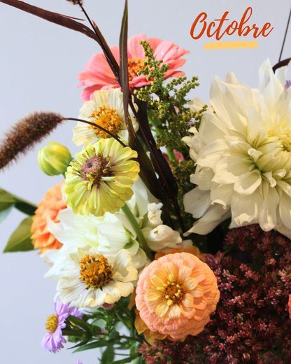 Le Bouquet du mois - DOUX