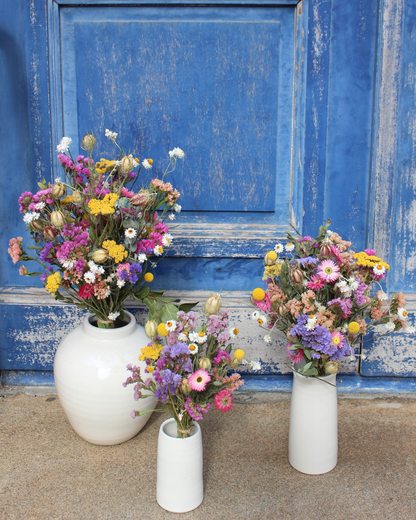 Bouquet de fleurs séchées - POP (Multicolore)