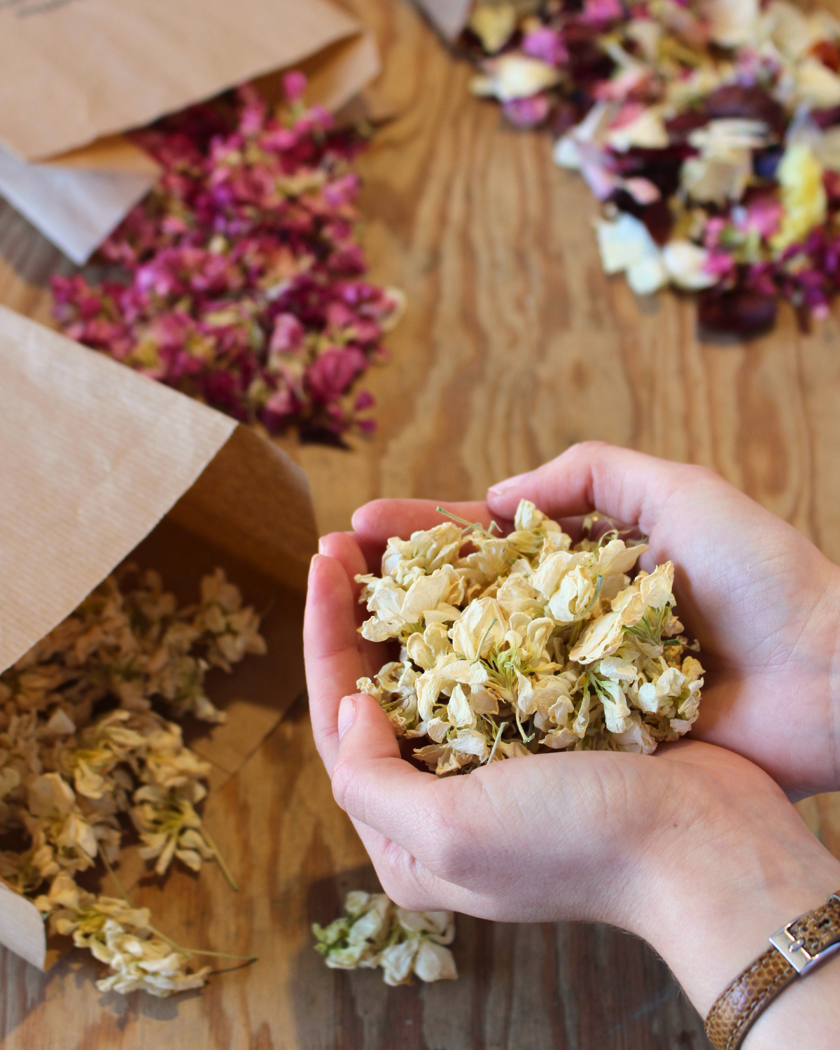 Confettis en fleurs séchées