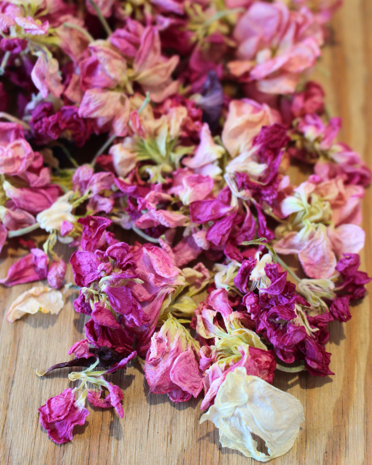 Confettis en fleurs séchées