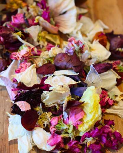 Confettis en fleurs séchées