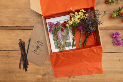Kit à réaliser DIY - 10 Pics à chignon en fleurs séchées - Peps