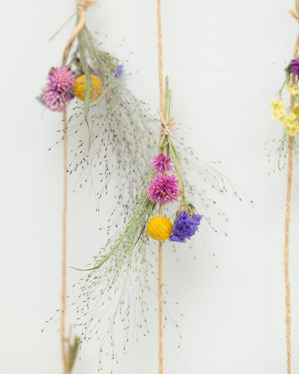 Atelier : Créez vos guirlandes en fleurs séchées (janvier à mars)