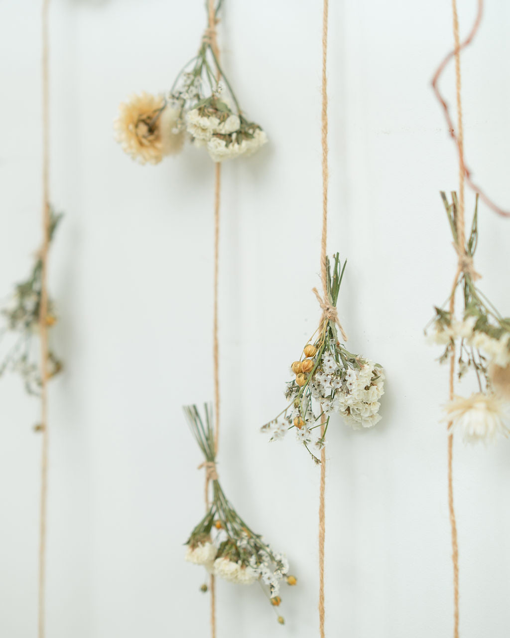 Atelier : Créez vos guirlandes en fleurs séchées (janvier à mars)